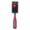 Flash Sale 🔔 MLB Golf & Sports Equipment Rawlings Minnesota Twins Mini Bat & Ball Set 💯